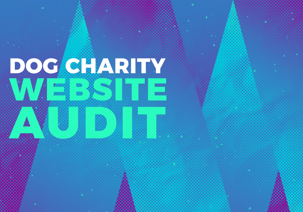 Design M | Website Design | Brand Identity